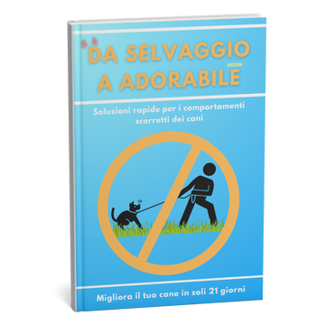 Il tuo cane tira, non ascolta, fa di testa sua? Il piano di 21 giorni per un cane obbediente — senza punizioni e senza addestratore costoso + BONUS