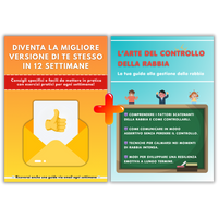 🟠 Pacchetto esclusivo 2-in-1: Rabbia sotto controllo + 12 settimane per la tua versione migliore! (PDF)